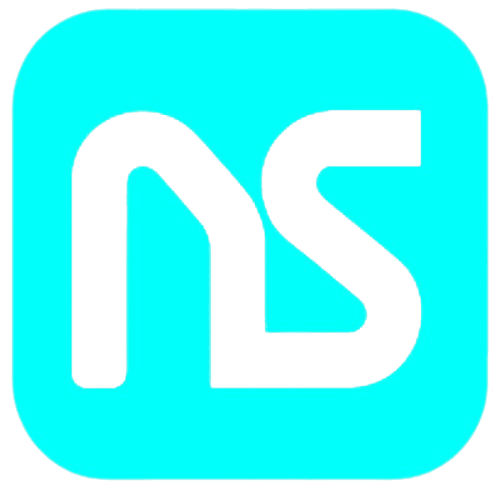 Nelion Logo